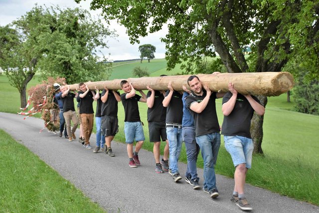 Auf dem letzten Stück der Rückbringung wurde der Baum von den Dieben getragen | Foto: Franz Putz