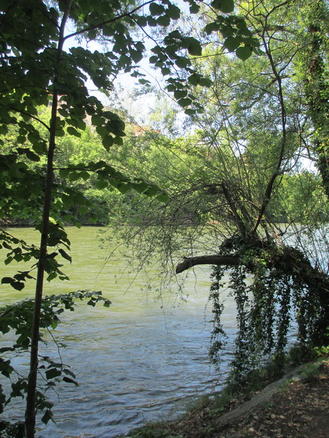 Ein Spaziergang entlang der Mur, erfreut mich immer wieder.
