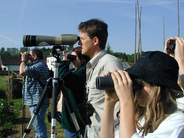 Die Moorlandschaft bietet die Möglichkeit, die Artenvielfalt heimischer Vögel zu beobachten. | Foto: Gemeinde Rohr
