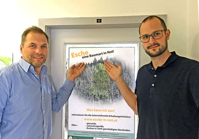 Georg Hainzl, Geschäftsführer des Waldverbandes Deutschlandsberg (l.), und Mario Matzer, Forstreferent bei der Landwirtschaftskammer.