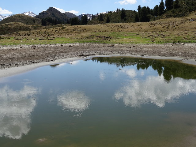 Das Leben zieht Kreise...