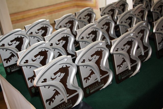 Der Steirische Panther der Blasmusik im neuen Design.