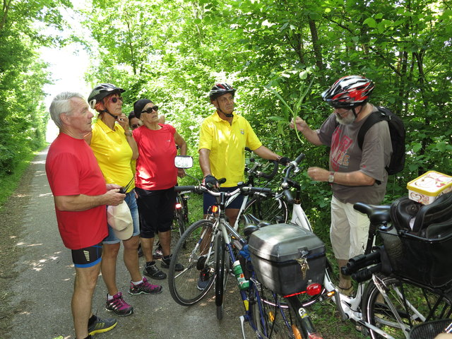 Zum Auftakt der Gesunden Gemeinde-Veranstaltungen ging's mit dem Fahrrad zur Vogelerkundung.