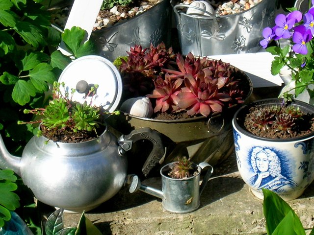 Auf entsprechende Drainage und Wasserablauf achten!