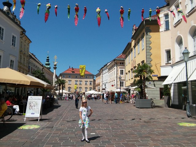 Papageien-Alarm über den Alten Platz! Claudia findet sie toll.