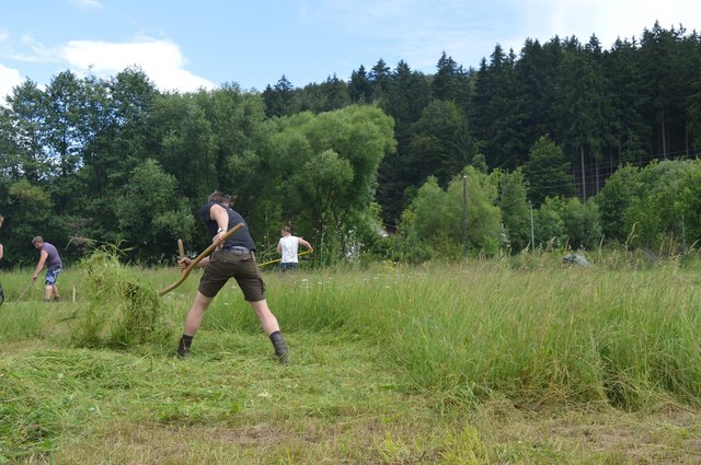 Das Bezirkssensenmähen findet am Samstag in Krottendorf statt. | Foto: Landjugend