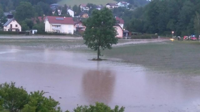 Foto: Richard Buggelsheim