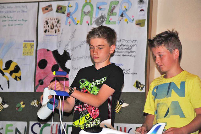 Schüler der Neuen Mittelschule Stein an der Enns präsentierten ihre Projektarbeiten. Das Motto lautete: „Flugkünstler in der Natur“. | Foto: KK