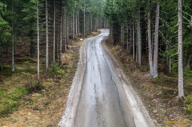 wohin er auch immer führen mag ... und wie beschwerlich er auch sein mag ...