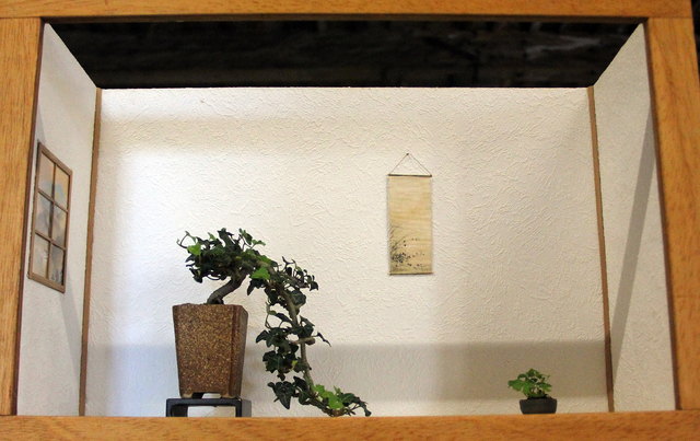 Bonsai-Ausstellung - Hallein 2017 | Foto: HKroBild