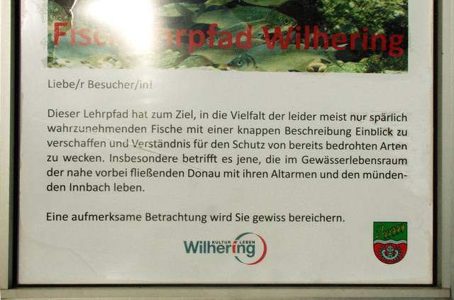 Interessant ist der Fischlehrpfad von dem ich einige Bilder der insgesamt ca.40 zeigen möchte