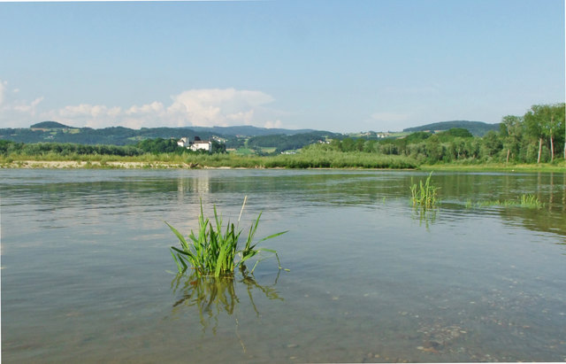 An der Innbach Mündung sieht man die Donauinsel und das Schloss Ottensheim
