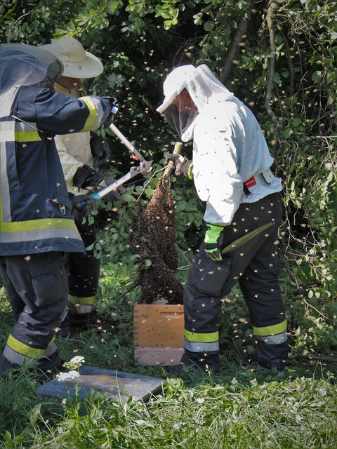 Foto: Roland Schmuckerschlag