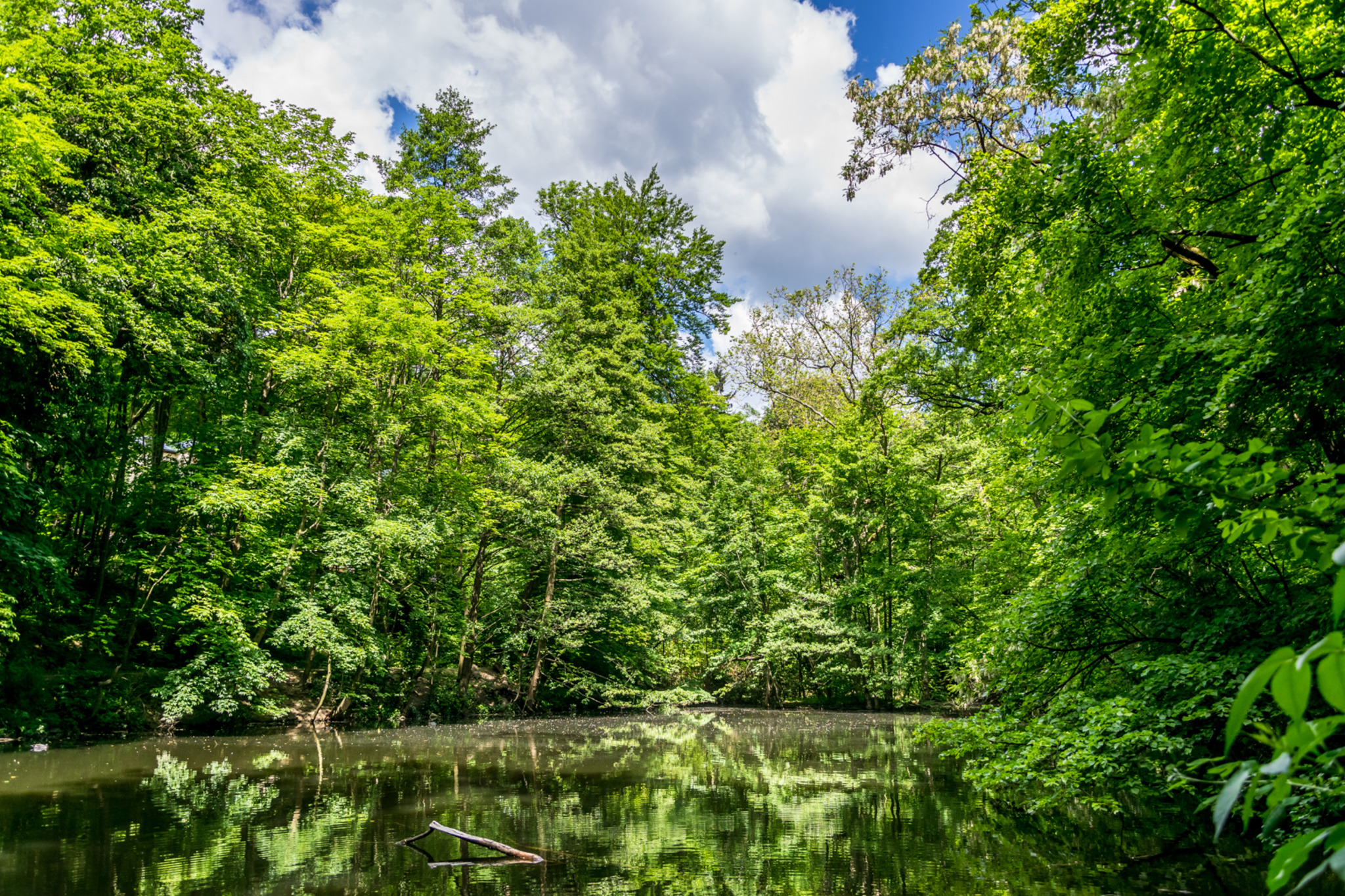 Ein grüner Schatz - der Silbersee - Penzing