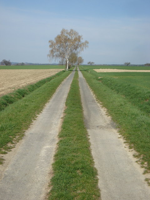 Der Weg zu den St. Michaeler Waldhäusern endet schier am Horizont.