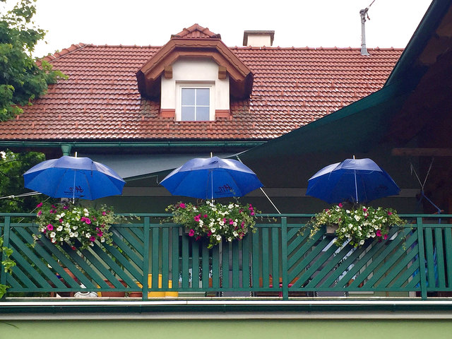 So schützt Sonja Haupt ihre Blumen vor dem Hagel!