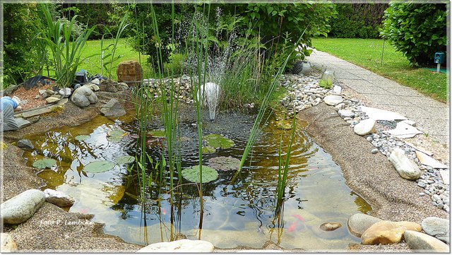 im Garten von Sohn Nr. 1 auf dem Schafberg