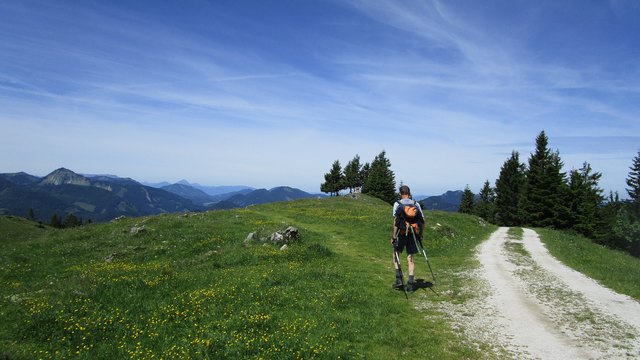 Auf der Schafbergalm. Mittig sieht man (gaaaanz klein) ein schönes Stein-Marterl. Vollbildmodus