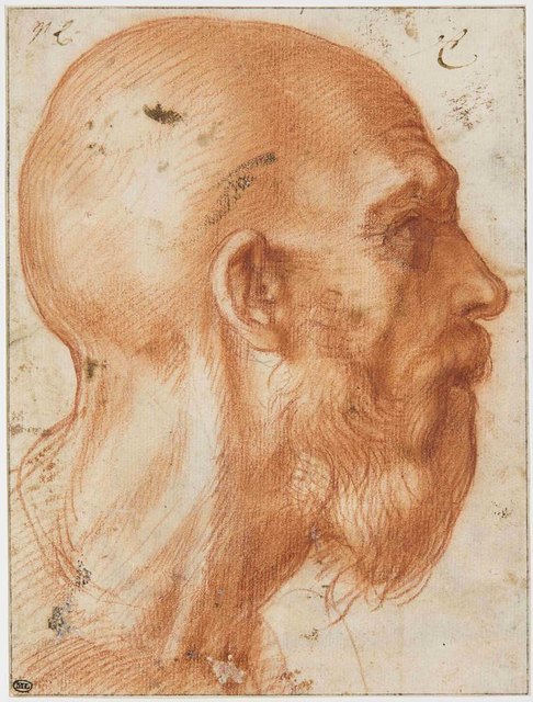 Männerkopf im Profil, Andrea del Sarto (1486-1530), um 1520, Paris, Musée du Louvre, Département des Arts graphiques | Foto: Musée du Louvre /Laurent Chastel