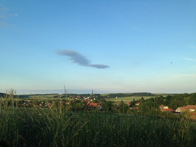 Ein großer Wolkenkranich zog über dem Weinviertel langsame Runden.
