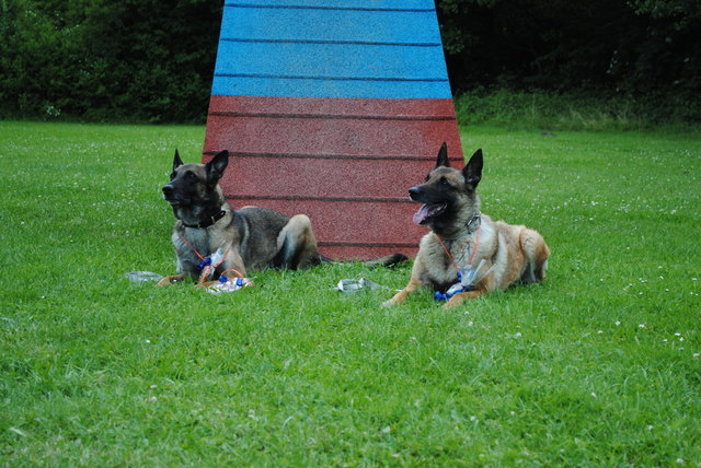 Mutter und Aohn erfolgreich in Agility und Unterordnung mit Hundeführerin Iris Bozek.