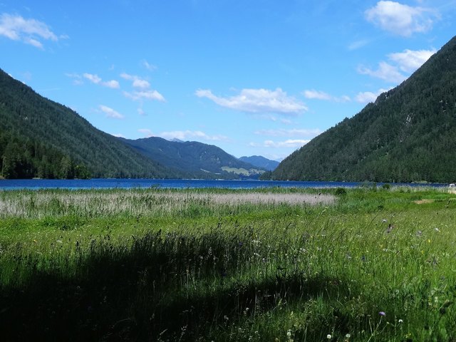 Ostufer des Weissensees