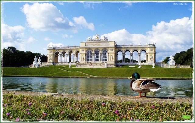Die Gloriette hat auch tierische Besucher