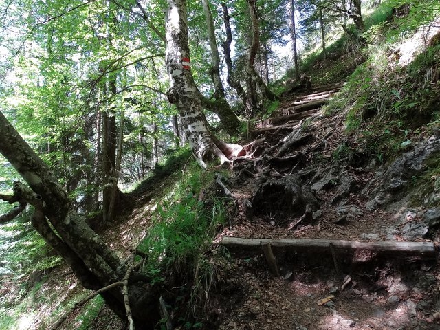 So sieht der "Weg" streckenweise aus - da ist gutes Schuhwerk angesagt.