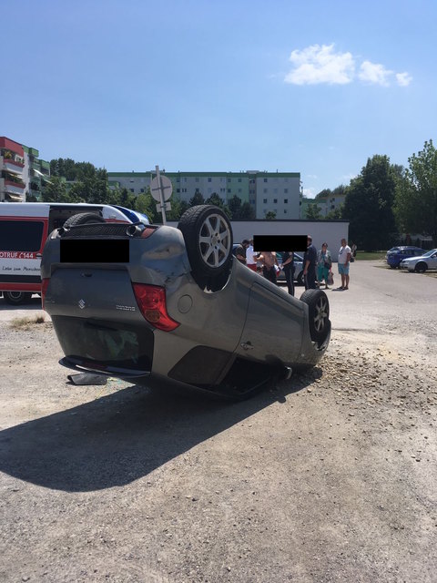 Gekonnt am Dach gelandet. | Foto: Winkler