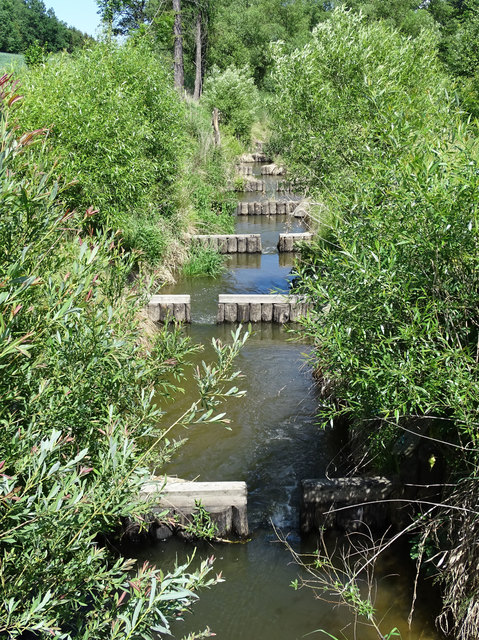 Eine von mehreren Fischtreppen an der Thaya, die dadurch in der Biotopfunktion gestärkt werden soll.