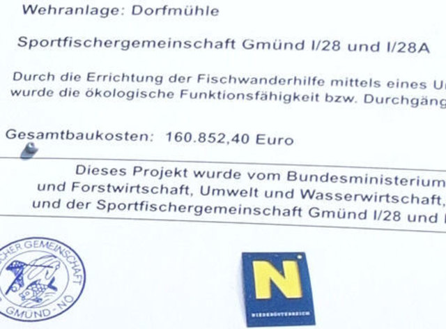 Über 160.000 Euro haben Bund, Land und Sportfischer aufgebracht, um diese Aufstiegshilfe zu ermöglichen.