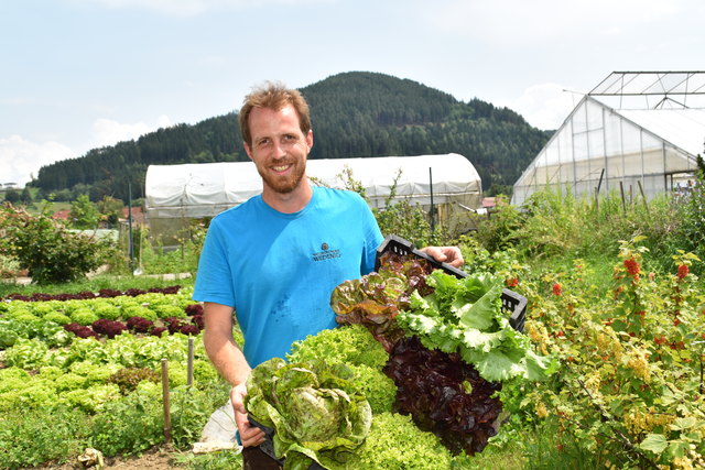 Gemüsegärtner Simon Wedendighat eine Vorliebe für Salat & Gemüse. Er bereitet sich auf seine Meisterprüfung vor | Foto: Friessnegg