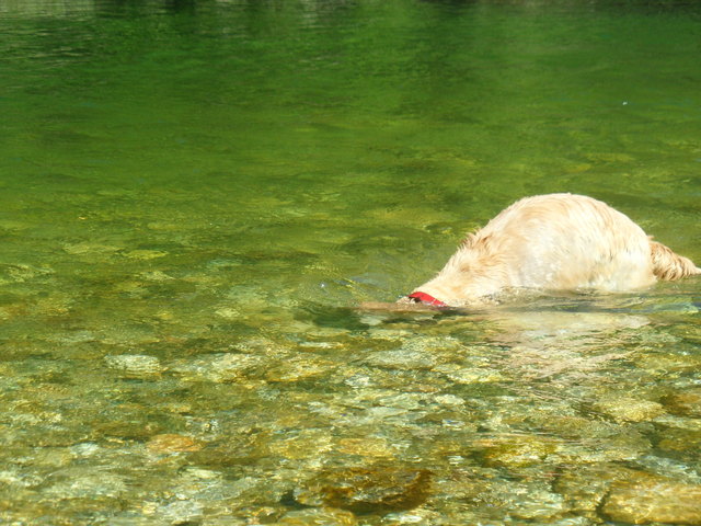 an der traun...