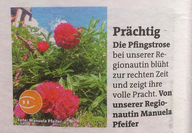 Veröffentlichung Bezirksblätter