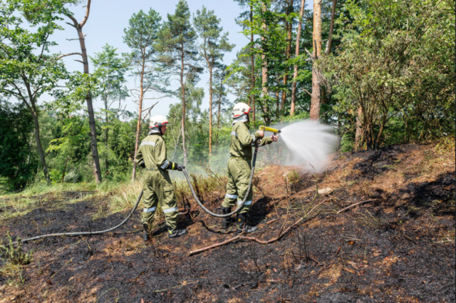 Foto: Manfred Wimmer