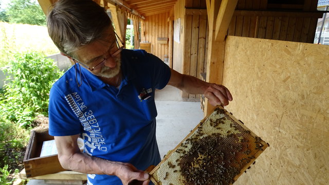 "Der Herr der Bienen" Johann Kronegger (Foto: Macheiner)