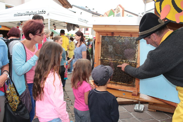 Die Bienen standen im Mittelpunkt des Honigfestes | Foto: Siegi Probst