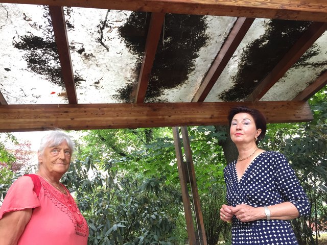 Anrainerin Johanna Lenz (l.) und FPÖ-Bezirksrätin Inge Wolf unter dem verschmutzten Dach des Sonnenschutzhauses im Alois-Drasche-Park.
