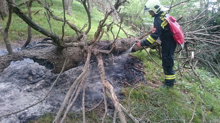 Ein Blitz soll den Waldbrand in Frankenfels ausgelöst haben.