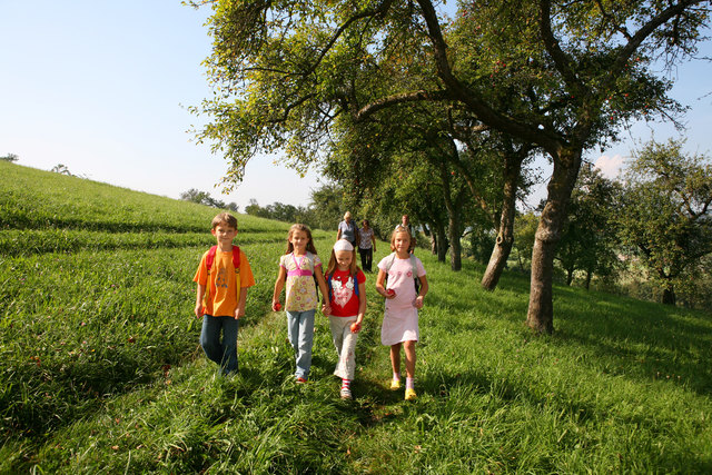 Foto: Naturpark Obst-Hügel-Land