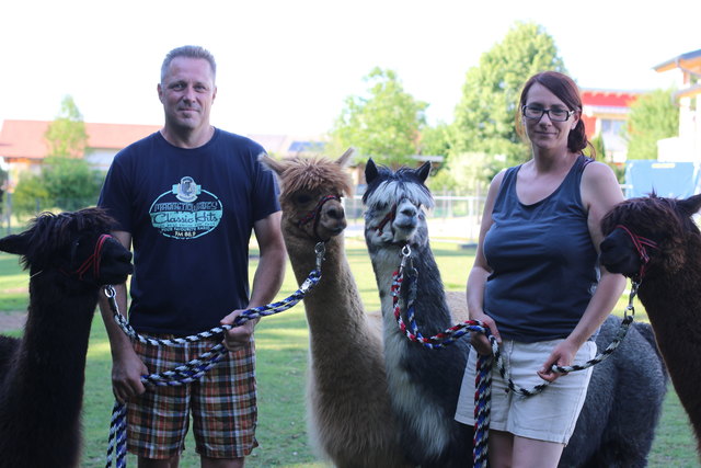 Tom und Katja Haiml haben sich ihren Traum erfüllt uns sich sechs Alpakas zugelegt.