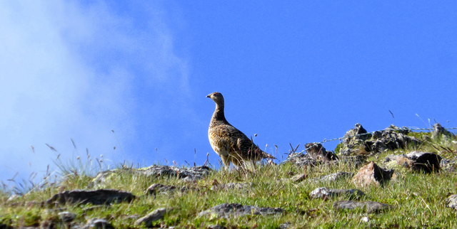 ein seltener Anblick auf den Bergen