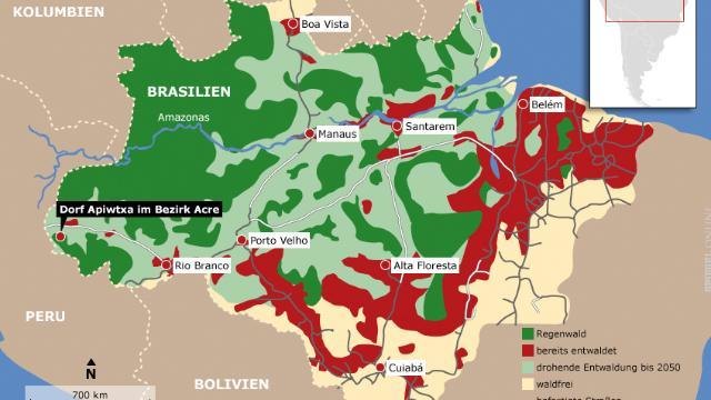 drohende Entwaldung im Amazonas bis 2050 http://www.spiegel.de/politik/ausland/brasiliens-indianer-gefaehrlicher-kampf-fuer-den-urwald-a-937996.html | Foto: WWF Deutschland Spiegelonline