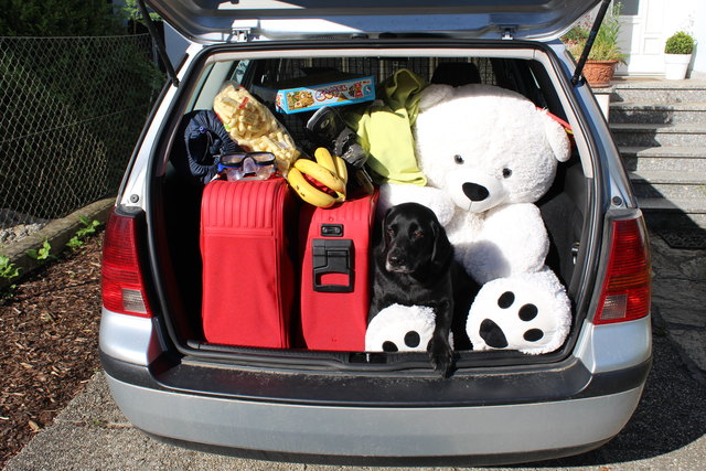 Heute reisen wir komfortabel mit Klimaanlage, viel Stauraum und mit oder ohne Hund.