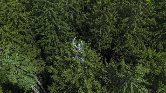 ... leider etwas unscharf denn mit viel Zoom geschossen ...