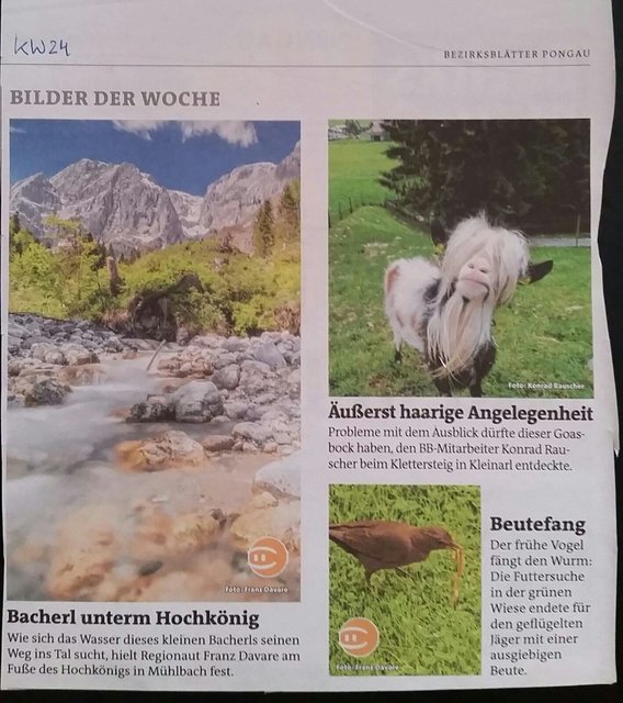 Sorry aber erst jetzt wieder im Lande und deshalb ein so spätes Danke an die Redaktion