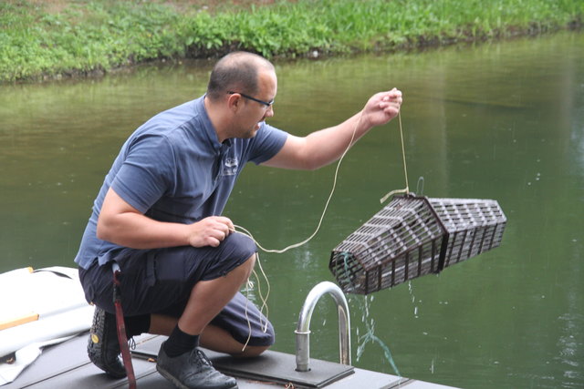 Mit Reusen wurden die Flusskrebse gefangen.