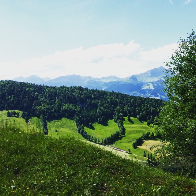 Diesen speziellen Platz kann man bei einer Wanderung, ausgehend vom Ortsteil Hinterberg in Kirchdorf erblicken. Der Weg führt dann über die Teufelsgasse zur Prostalm.