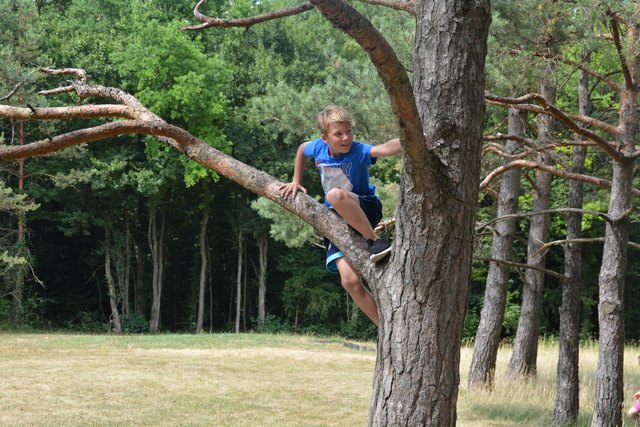 Dominik Illing ließ es sich nicht nehmen, im Föhrenhain einen Baum zu erklimmen.