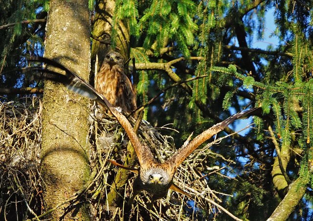 Mutters reiche mnner kennenlernen. Singles umgebung burgfried. Junge singles sding-sankt johann. Lohnsburg am kobernausserwald er sucht sie. Als single aus saalfelden am steinernen meer - Freizeit